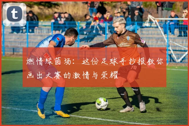 燃情绿茵场：这份足球手抄报教你画出大赛的激情与荣耀