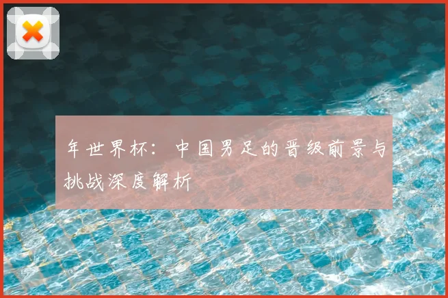 年世界杯：中国男足的晋级前景与挑战深度解析